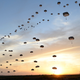 Illustration for article titled Paratroopers fill the sky in awesome photo
